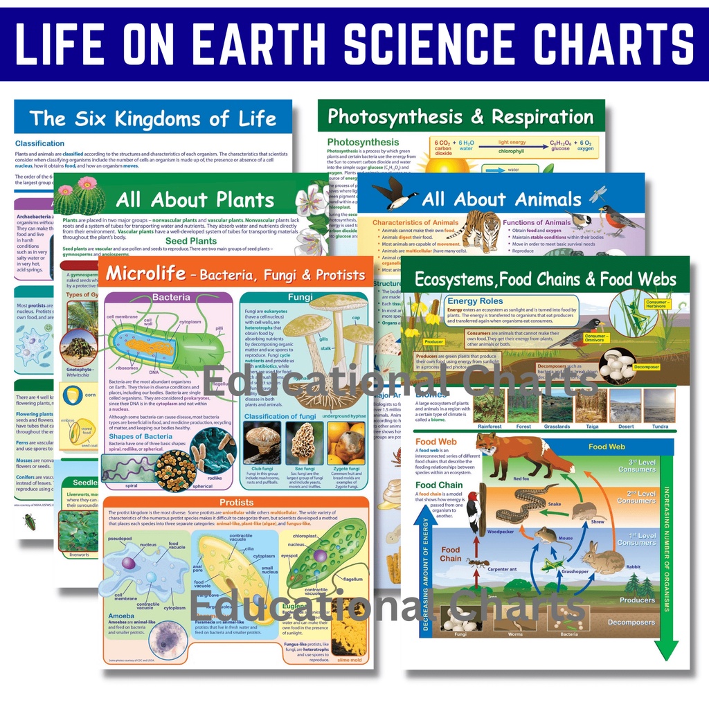 Science Educational Charts / Posters , Photosynthesis Ecosystem Plants ...