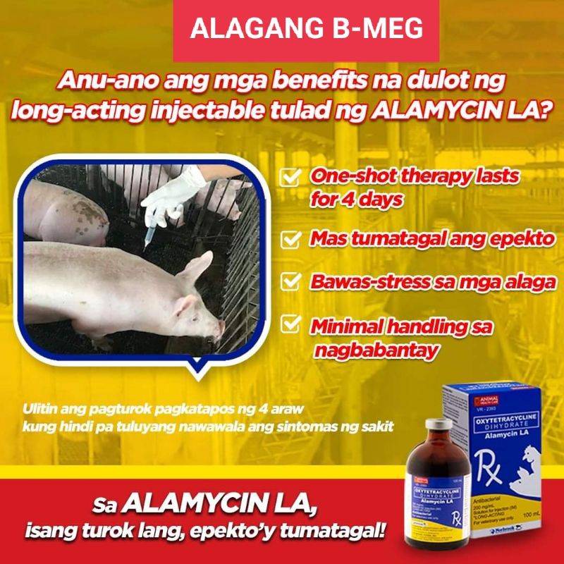 ALAMYCIN LA 100ML FOR PIGS JULY 2025 EXPIRATION Shopee Philippines