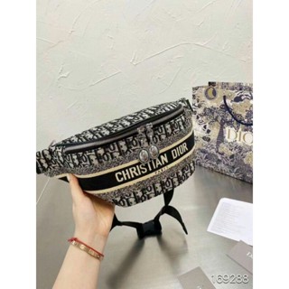 Dior hotsell hip bag