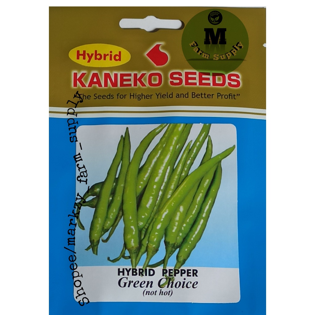 Hybrid Kaneko Seeds Pepper Green Choice Shopee Philippines