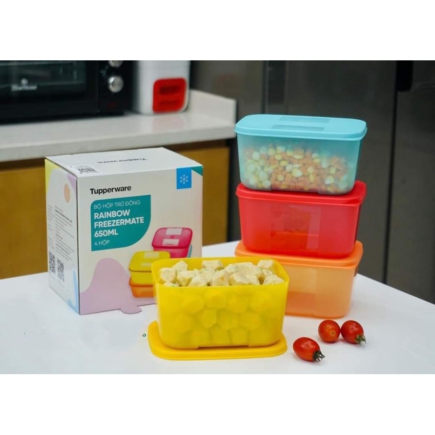 Freezermate Rainbow Freezer Box Set 650ml (4) (Tupper, Safe Virgin