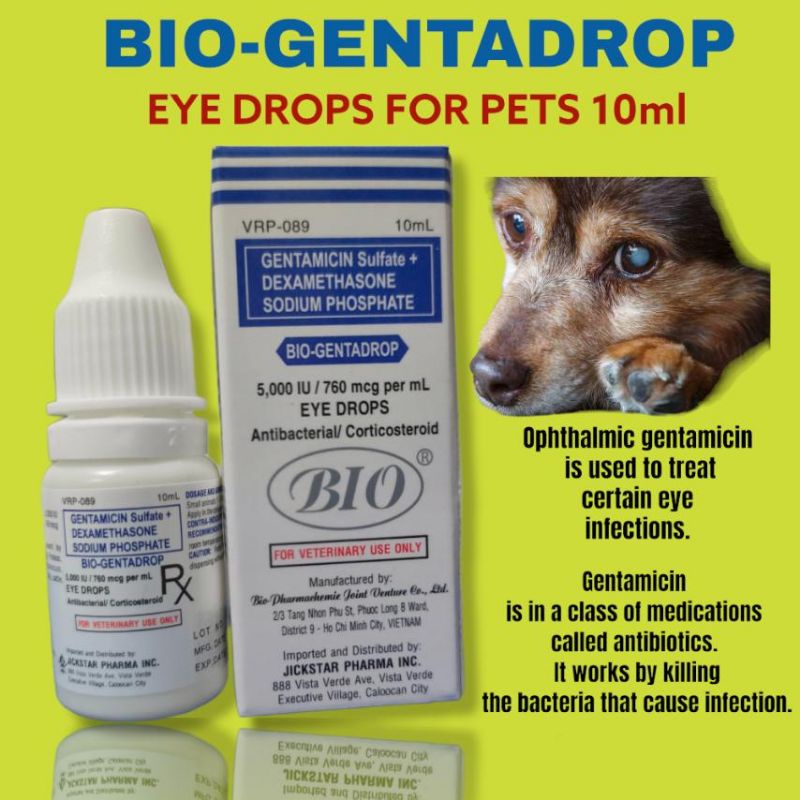 BIOGENTA BioGentadrop Eyedrops for pets (10ml) Shopee Philippines