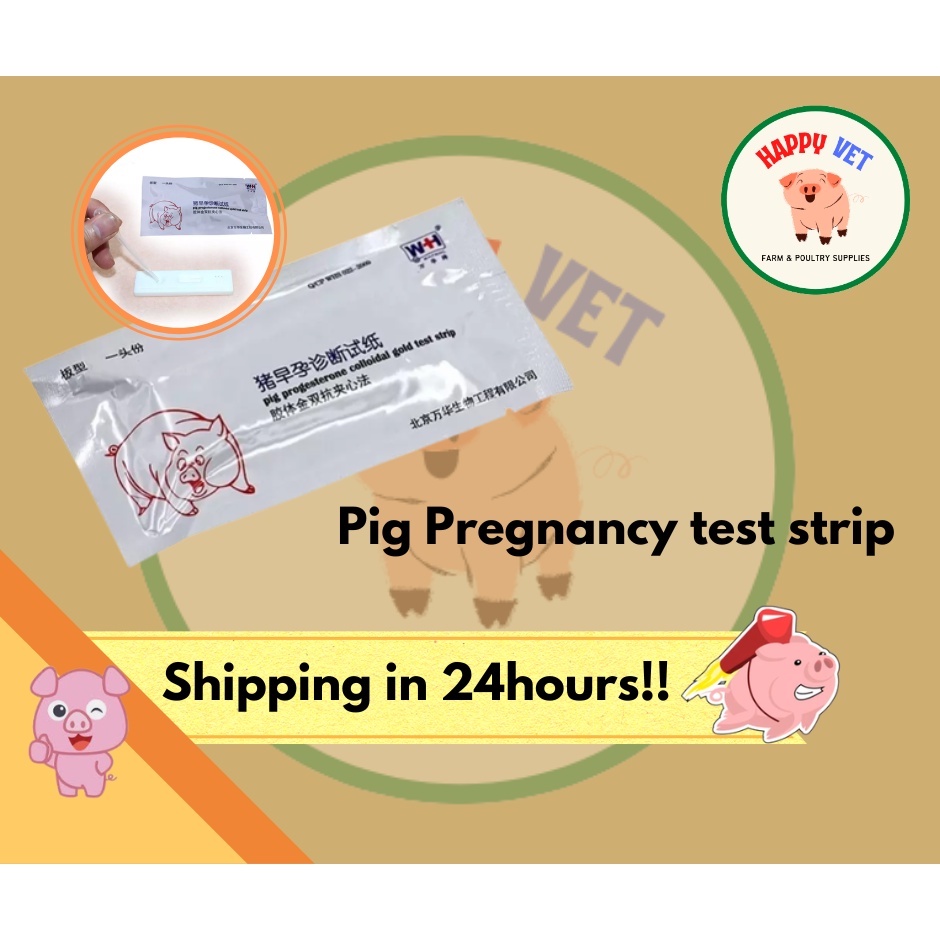Pig Pregnancy Test Strip Early Pregnant Detection Testing Tool Sow Test