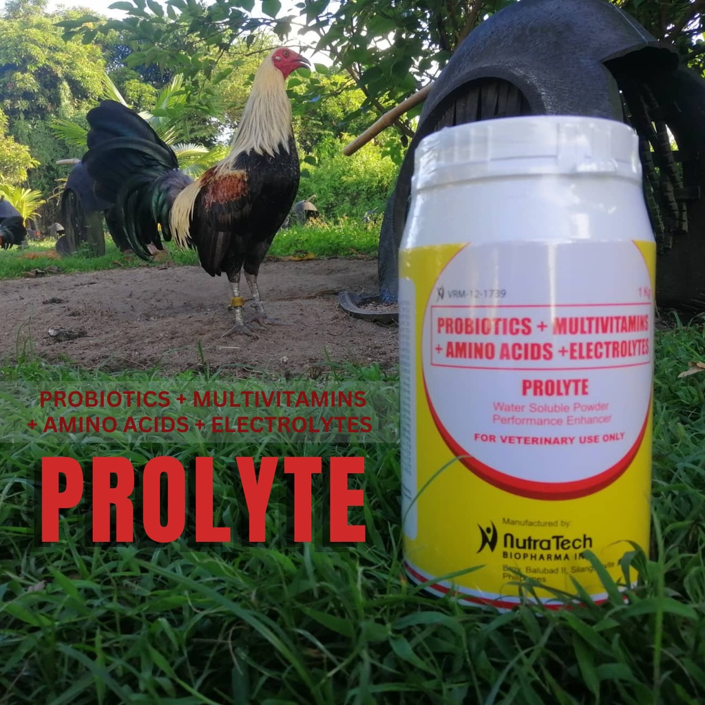 Prolyte1KG Water Soluble Powder Performance Enhancer 