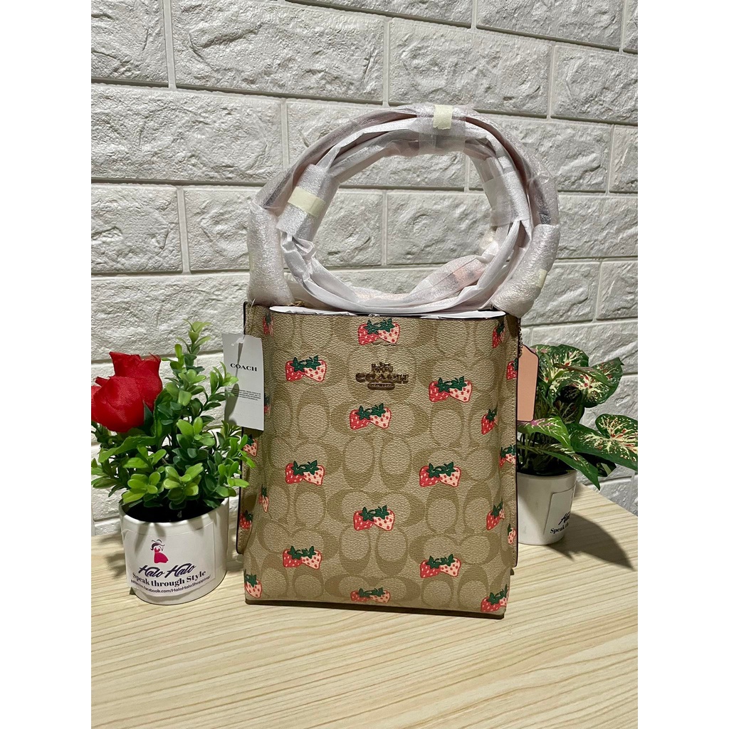 COACH Mollie Bucket Bag 22 In Signature Canvas With Strawberry Print ...
