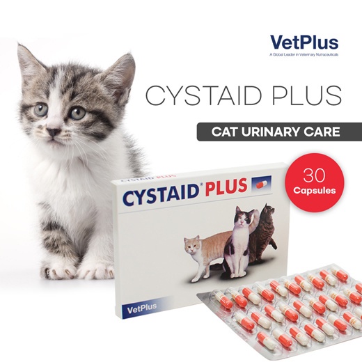 Vetplus Cystaid Plus 1 BOX 30 Capsules Urinary Care Shopee Philippines