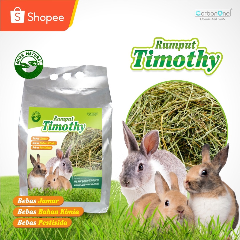 Timothy Grass (500Gram Rabbit Feed) | Shopee Philippines