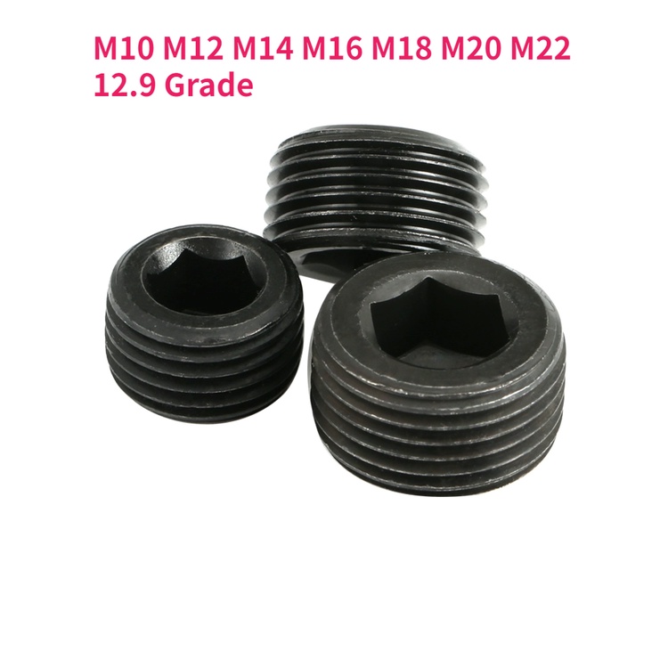 1pcs M10 M12 M14 M16 M18 M20 M22 12.9 Grade Carbon Steel PG1.5 Plug