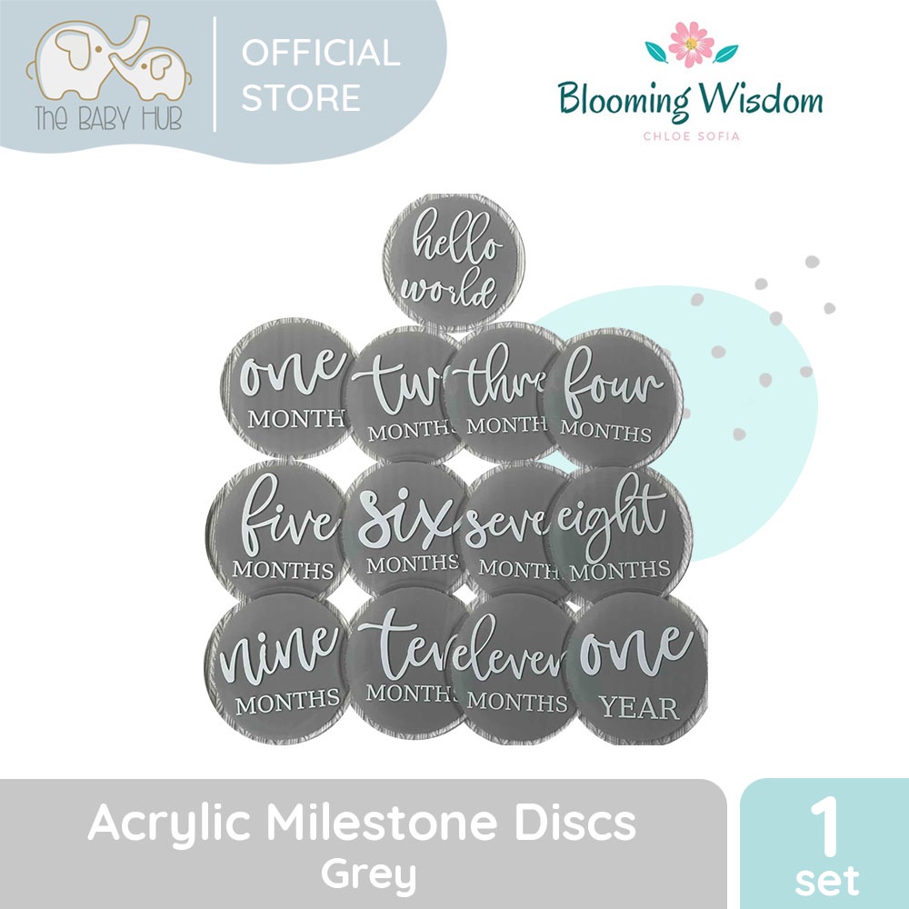 Blooming Wisdom Acrylic Hello World and Monthly Milestone Discs ...