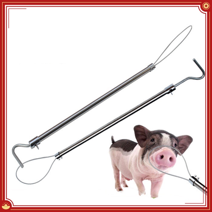 1Pcs Livestock Stainless Steel Pig Holder Heavy Duty Hog Catcher Snare ...