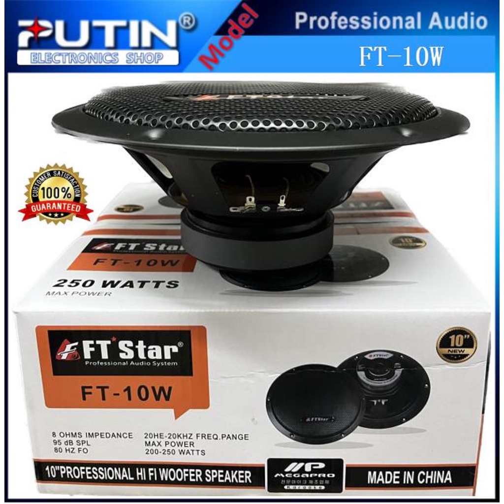 The Subwoofer FT 10 FT Star FT 10W 250 WATTS 10 inch professional