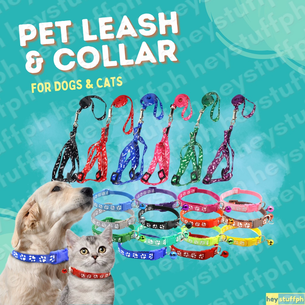 Pet Leash, Harness, and Collar for Dogs and Cats Shopee Philippines
