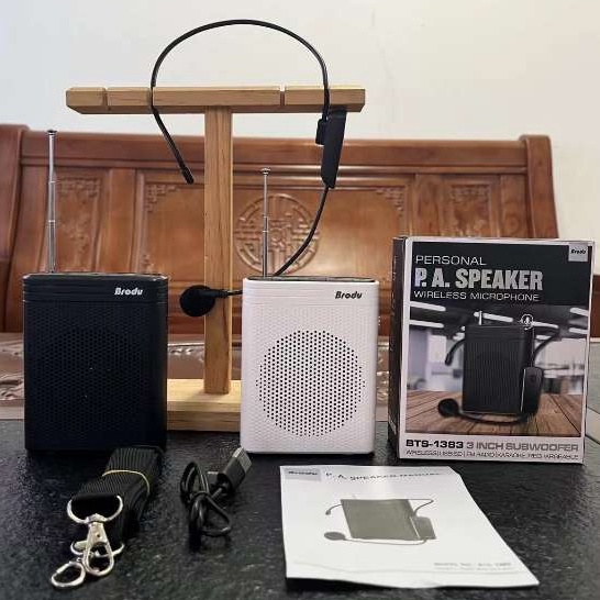 BTS1383 3"Inches Portable Amplifier Wireless Microphone Shopee