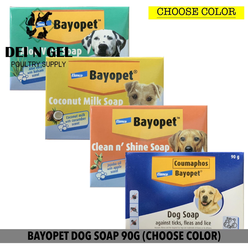 Dogs and soap hotsell