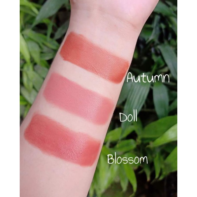 Clayblush 3In1 Pot (Eye Lids, Lip & Cheek) Shopee Philippines