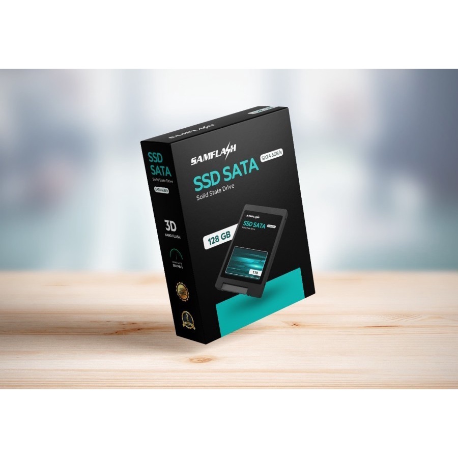 Backup SSD 128GB 2.5