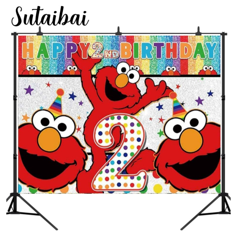 Elmo 2nd Happy Birthday Street Brick Wall Photo Backdrop Boy Girl 1st