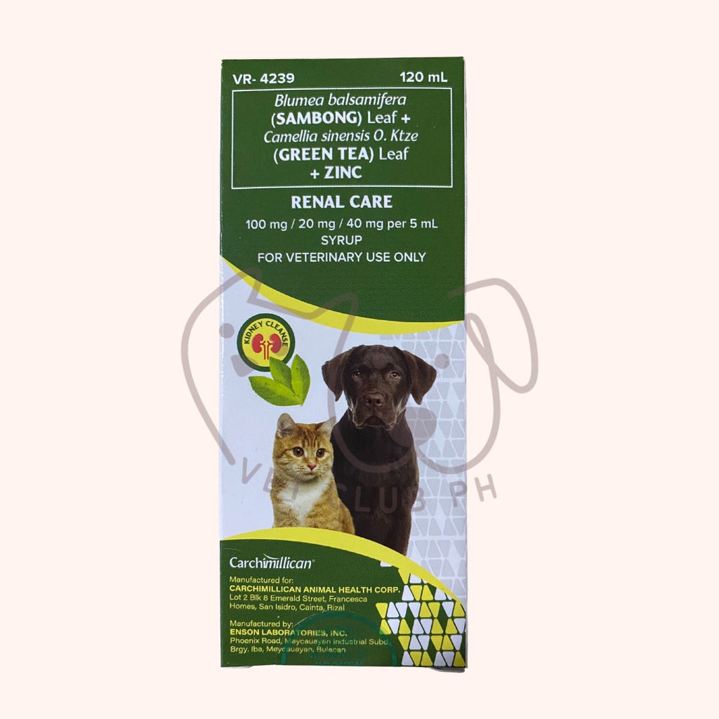 Renal Care (Sambong + Zinc + Green Tea) Syrup 120ml Shopee Philippines