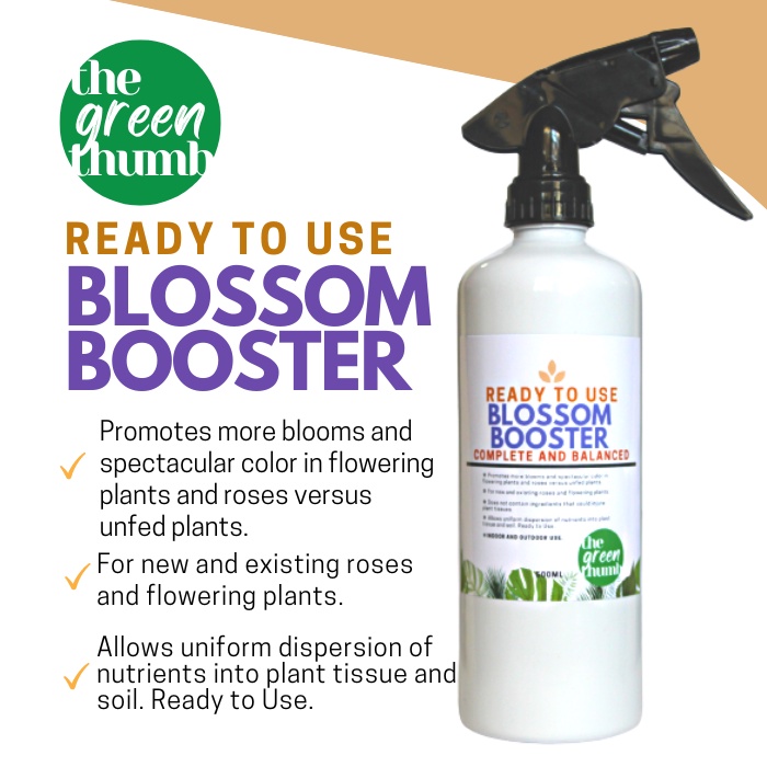 BLOSSOM Booster Spray (500ml) Complete and Balanced The Green Thumb ...