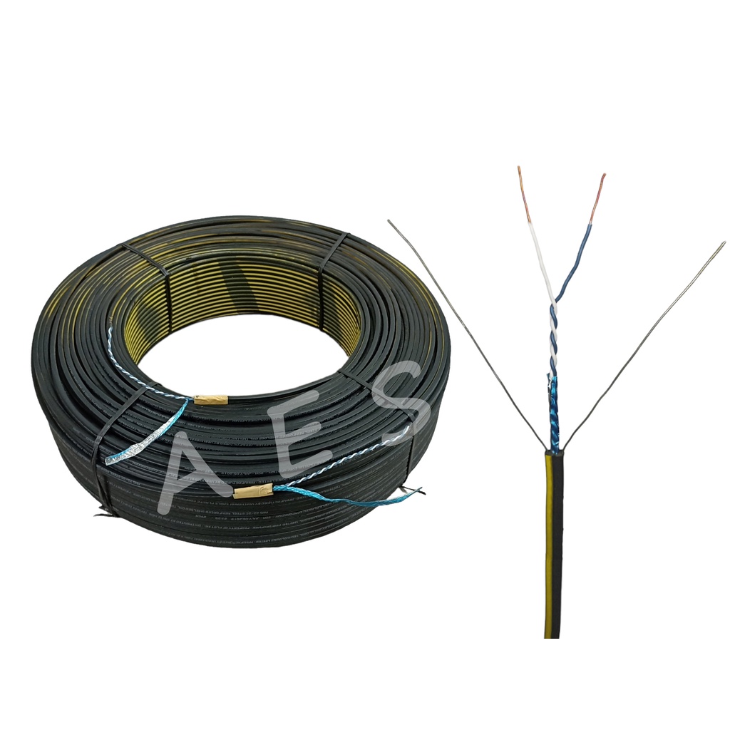 Compact Shielded Twisted PLDT Pair Dropwire AWG #22 / 2c | Shopee ...