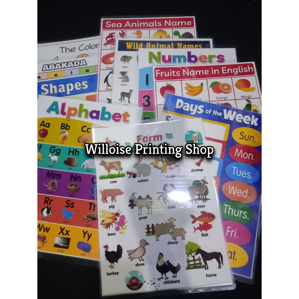 Educational Laminated Charts - A4 Size | Shopee Philippines