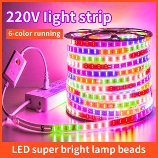 220V LED Light Strip Outdoor Waterproof LED Colors Ceiling