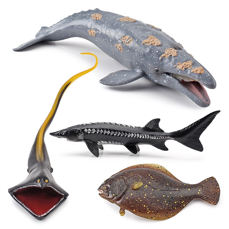 Simulation Deep Sea Life Model | Shopee Philippines
