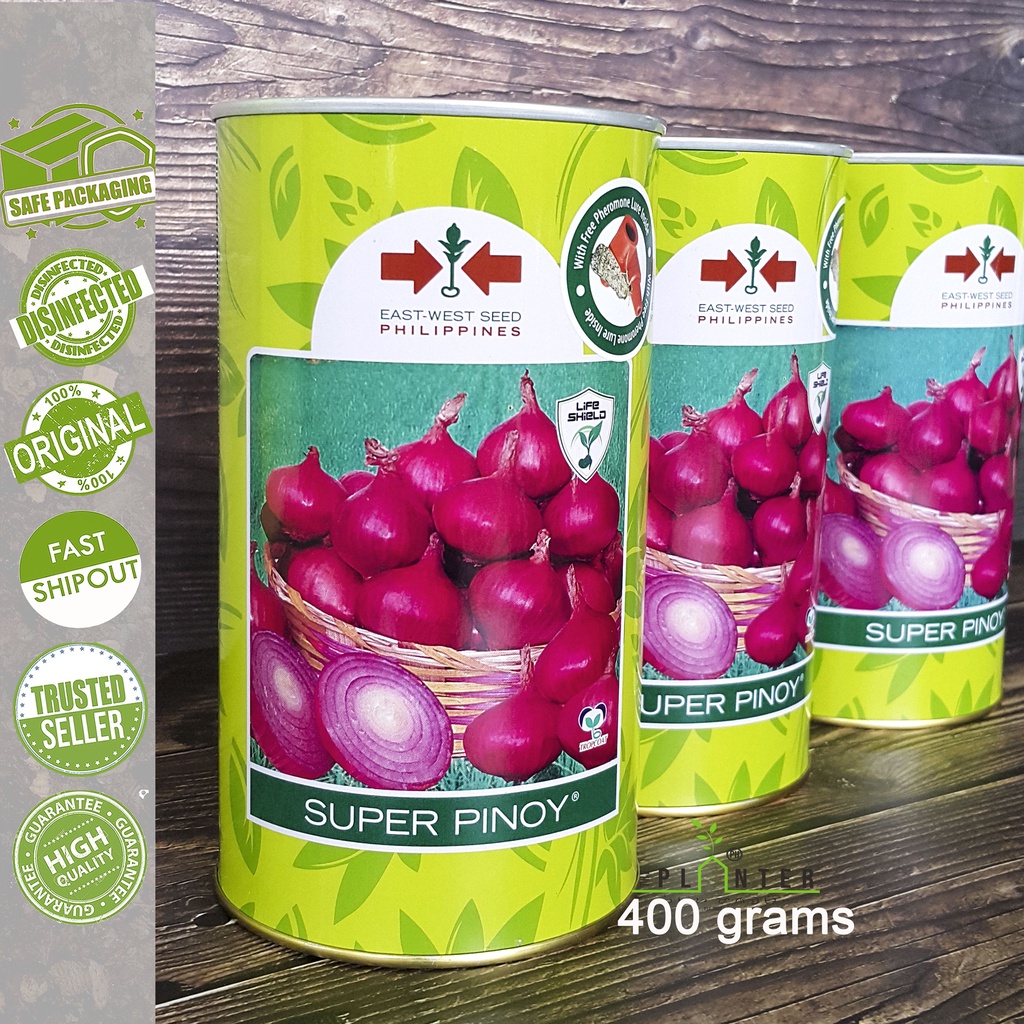 SALE! SUPER PINOY VARIETY ONION SEEDS (400g) - EAST - WEST SEED ...
