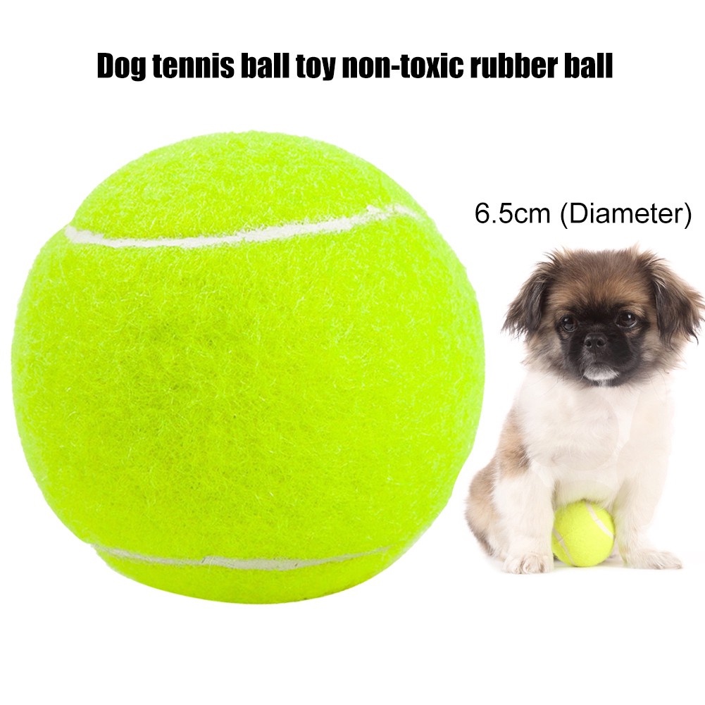 6.5cm Durable Nontoxic Rubber Dog Tennis Ball Toy Pet Catching Game Training Shopee Philippines