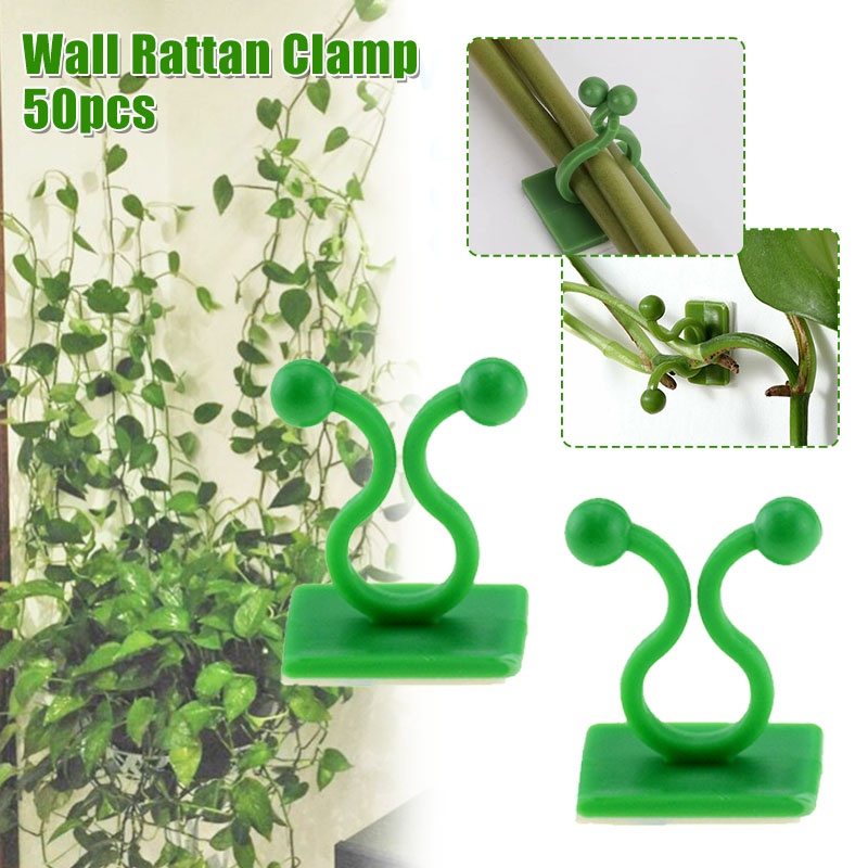 50 Pcs Plant Clips Invisible Wall Vines Fixture Clips Self-Adhesive ...