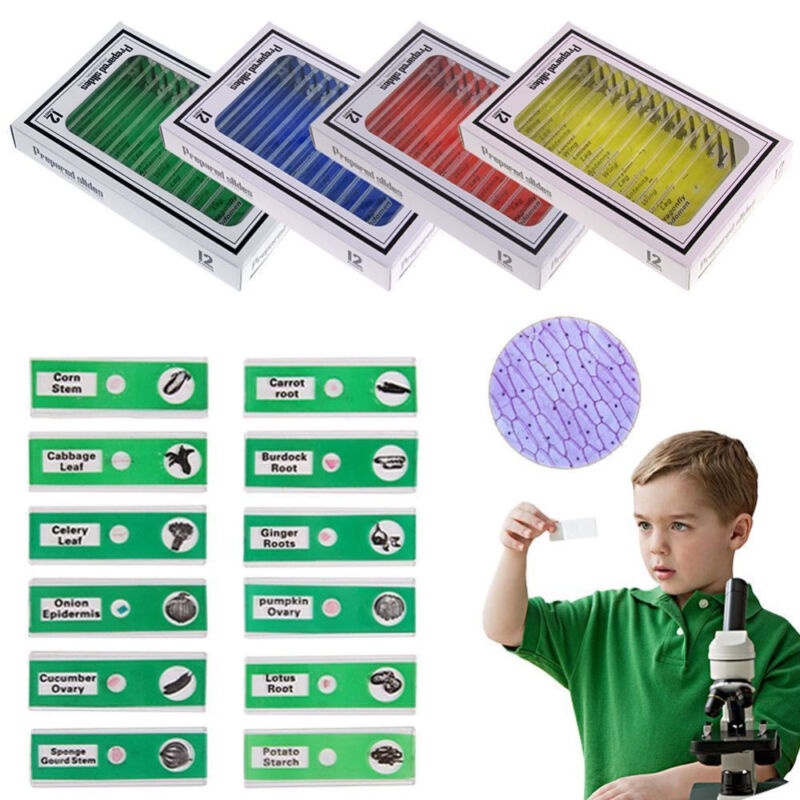 Plastic Microscope Animals Insects Plants Flowers Prepared Slides For ...