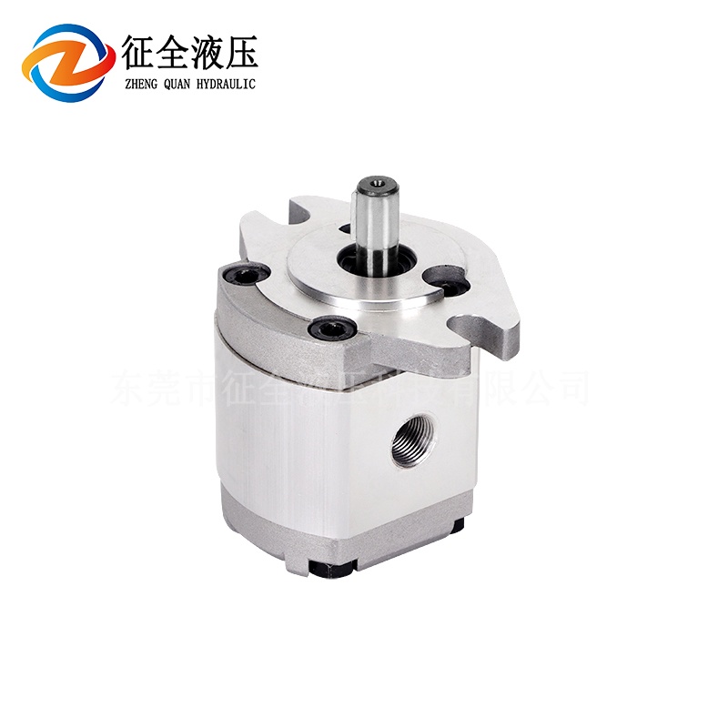 High pressure hydraulic oil pressure gear pump HGP1A Dongguan