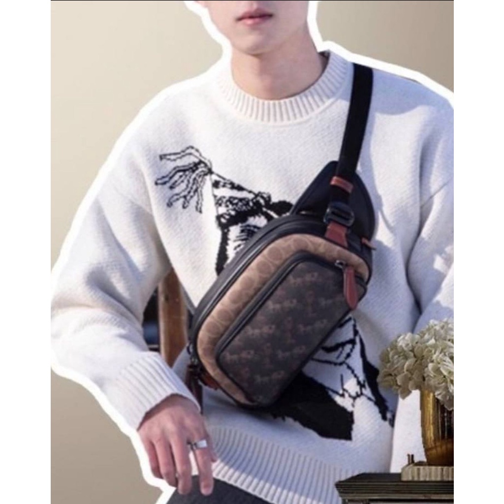 C1063 Coach Belt Bag Original Hitch In Signature Canvas With Horse And