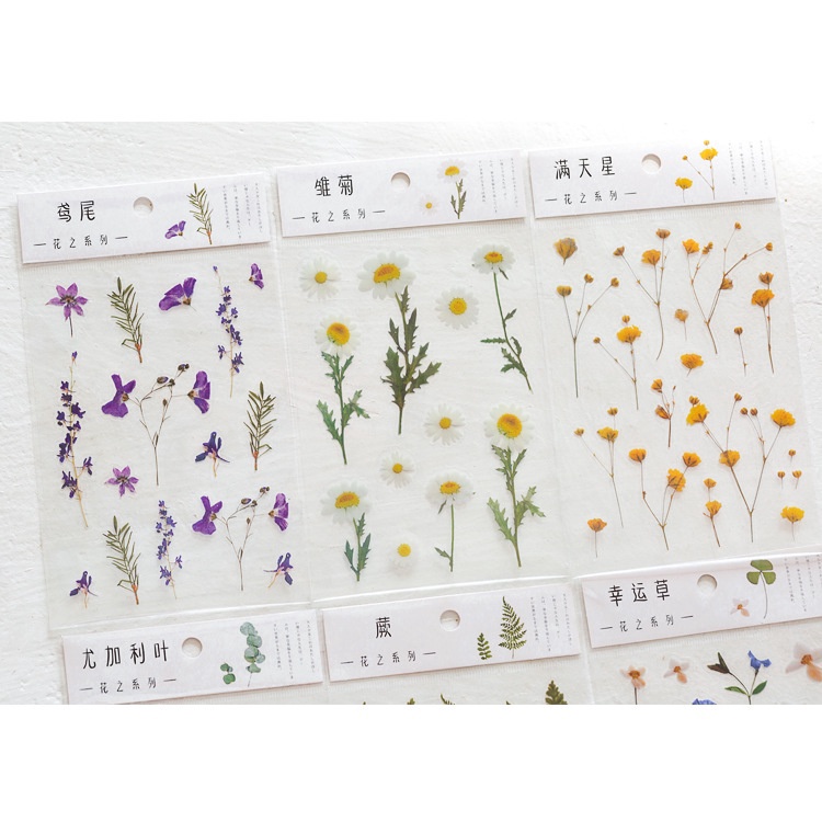 ENWEI 12 Designs Flower Series Stickers PET Waterproof Plant Sticker ...