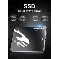 120GB / 240GB SSD WHALEKOM | Shopee Philippines