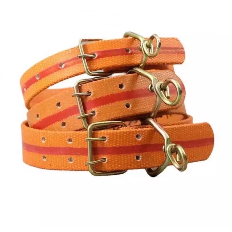 COD Adjustable Dog Collar Heavy Duty Safety Pet Dog Collar Dog Belt