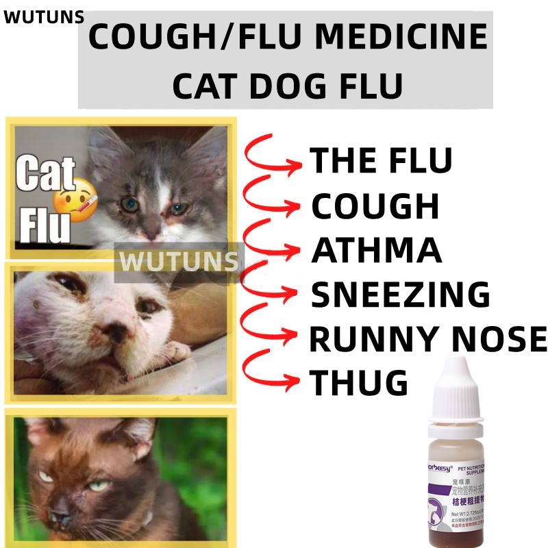 Cat flu remedies best sale