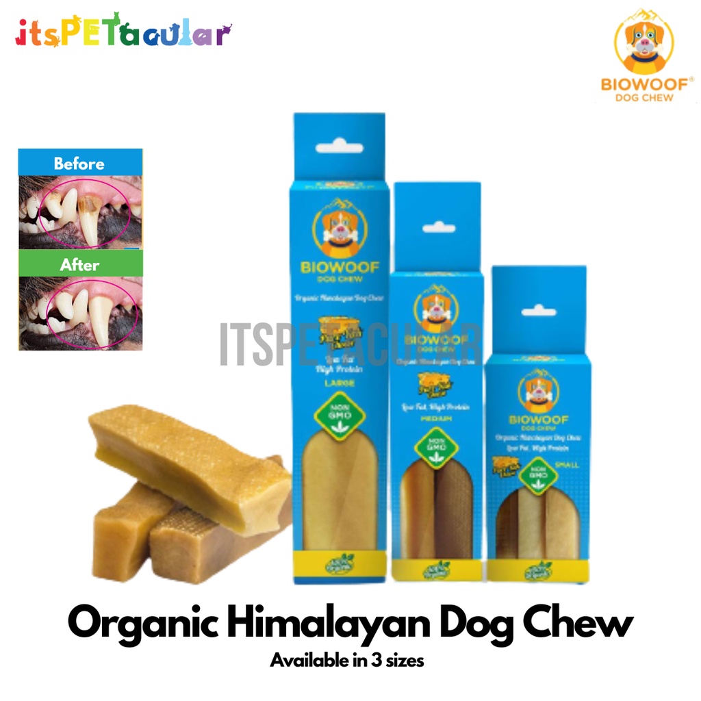 Himalayan dog sale chew shark tank