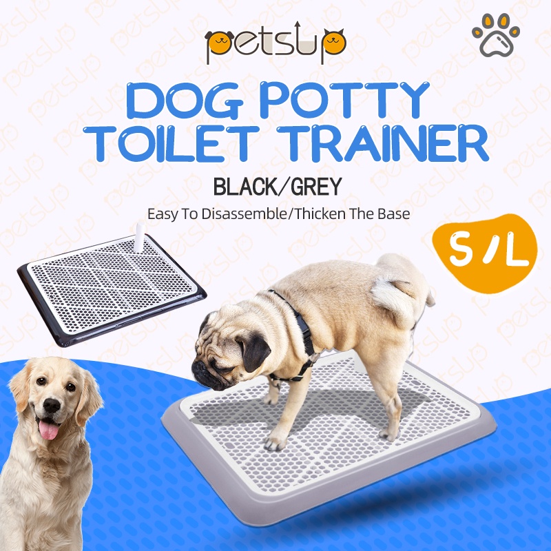 Potty training dog trainer