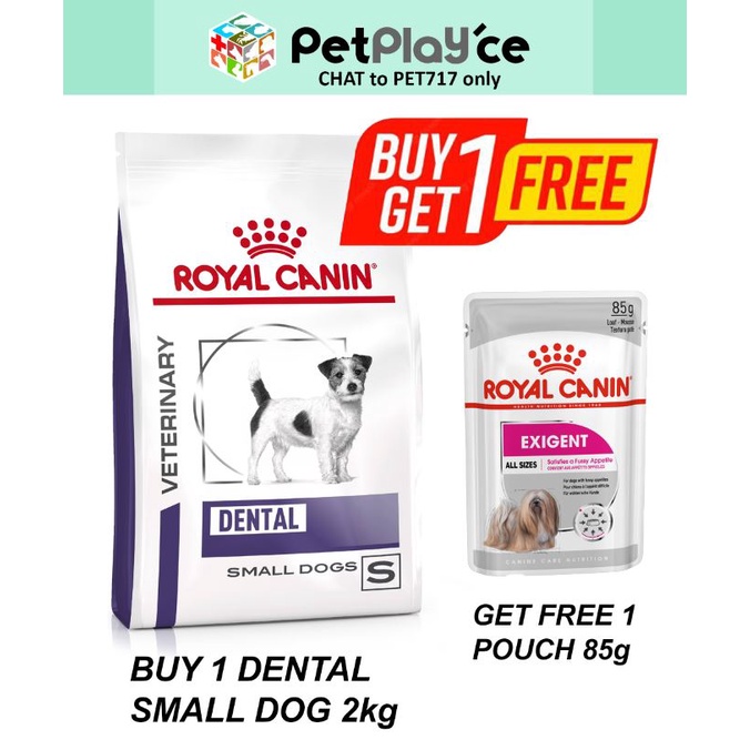 Royal canin hotsell exigent small dogs