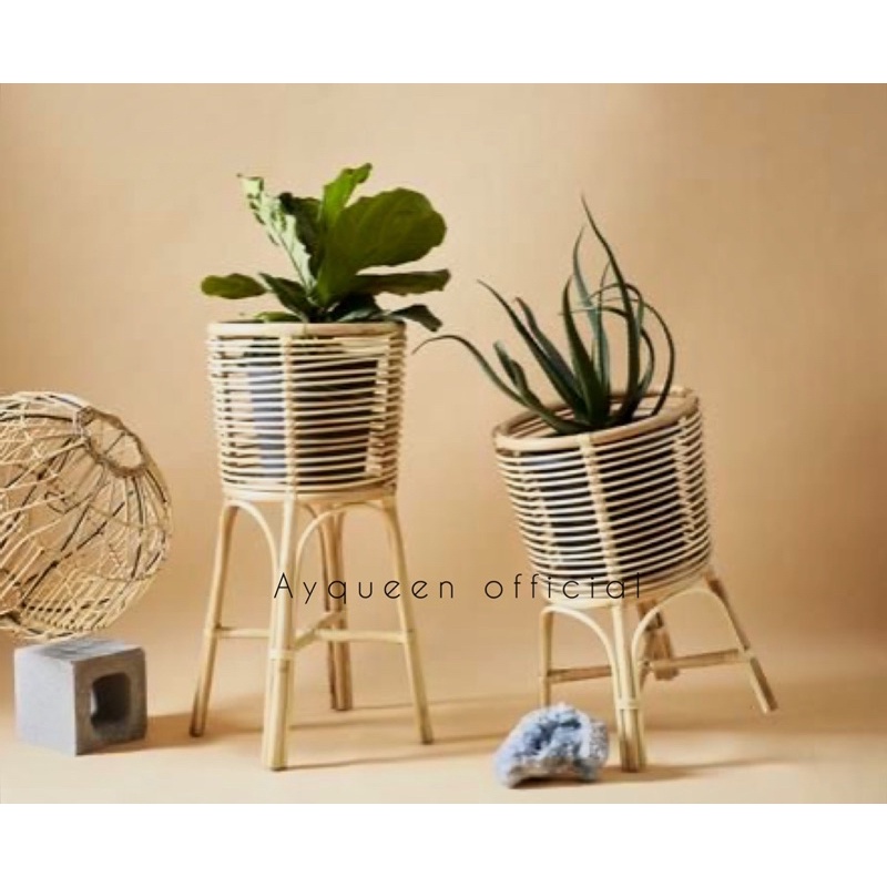 Export Quality | Peeled Rattan STANDING POT | Premium Rattan STANDING ...