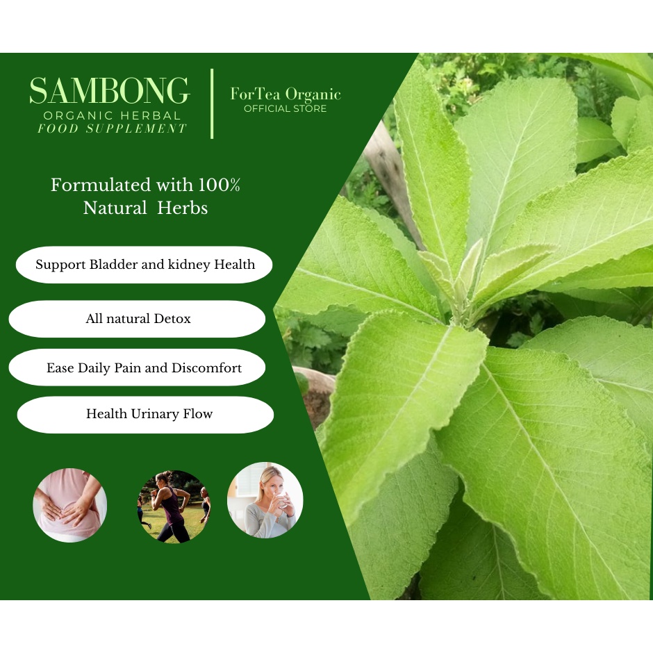 (BUY 1 TAKE 1) SAMBONG HERBAL FOOD SUPPLEMENT 500mg 100pcs capsule