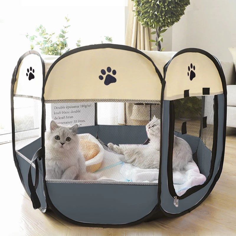 Portable cat outlet tent