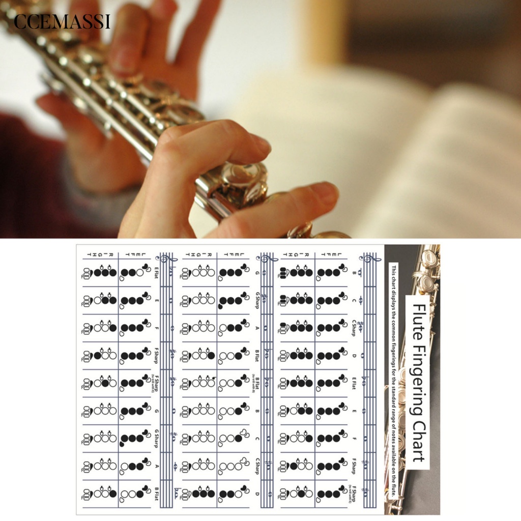 cce_ Flute Chord Guitar Reference Fingering Chart Foldable Shopee