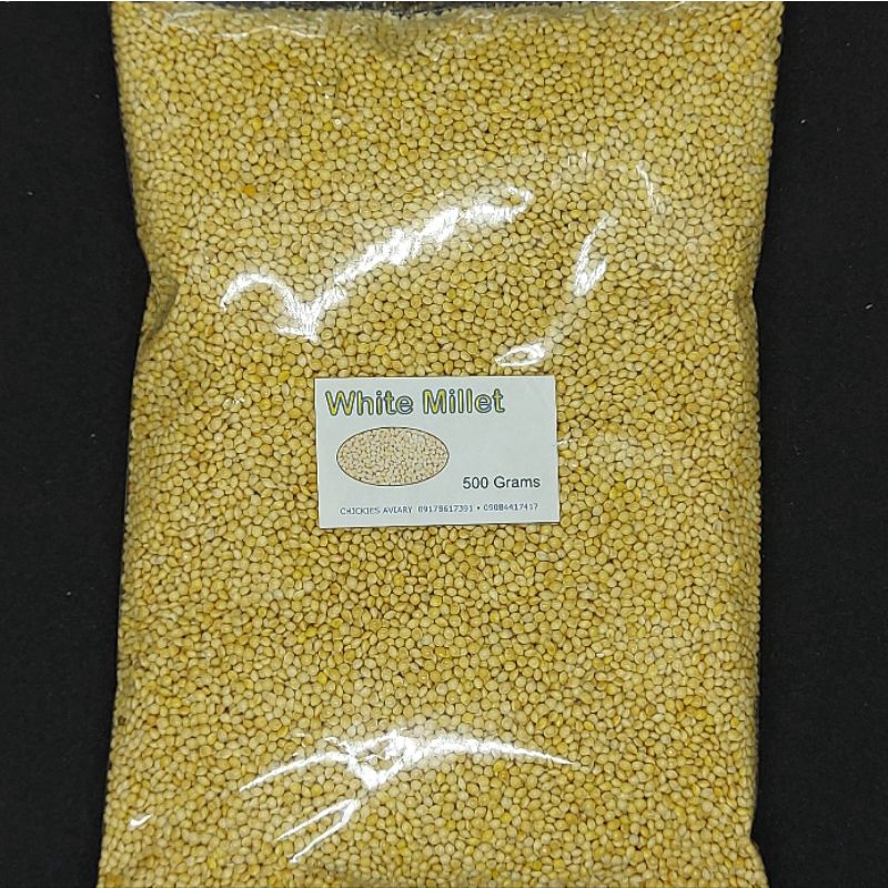 White Millet Bird Seed 500 grams for birds | Shopee Philippines