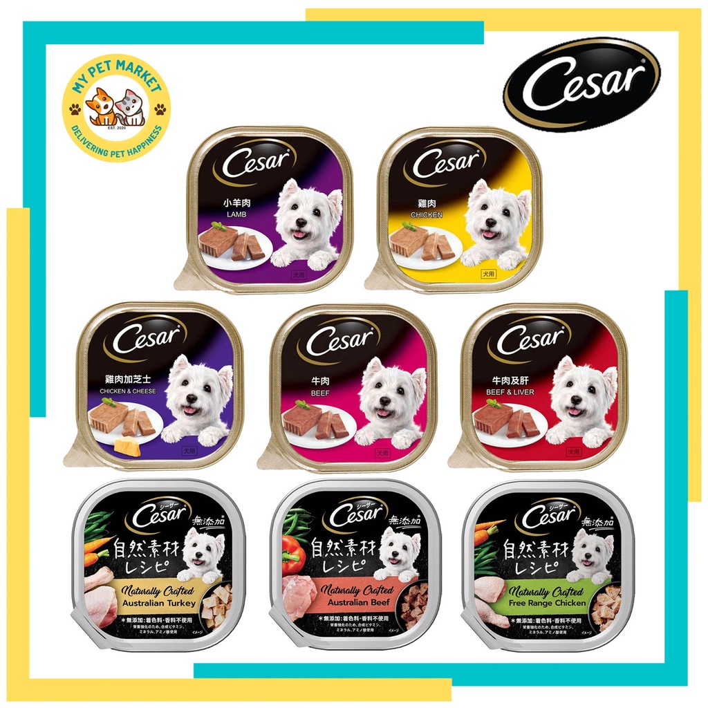 Cesar Wet Dog Food Assorted Flavor Shopee Philippines