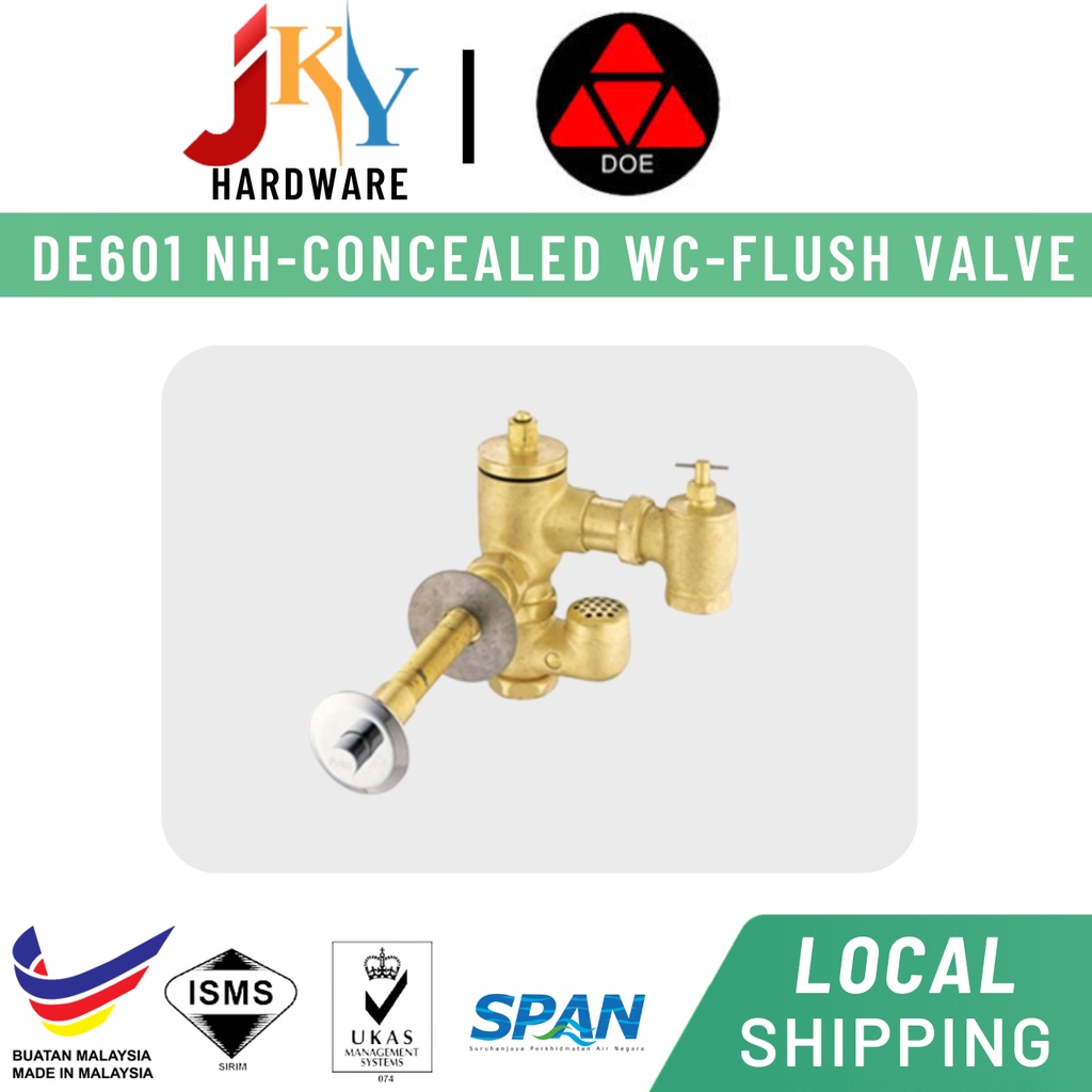 DOE DE601 NH Concealed Duct Type Manual WC Flush Valve With Piston Push