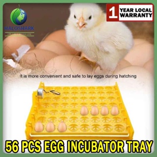 egg tray , egg tray molds , egg tray mould - Shenzhen Yaya Gifts