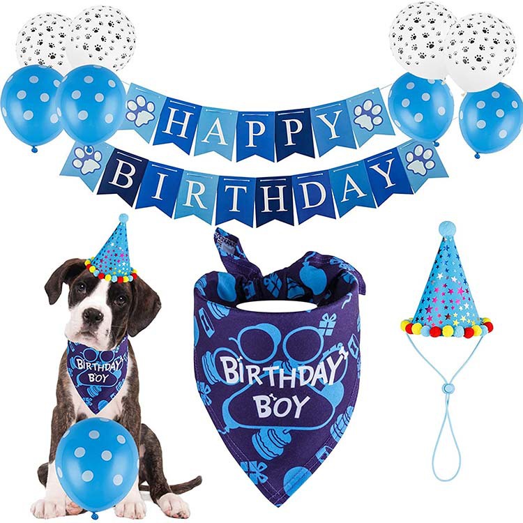 boy-dog-birthday-blue-bandana-paw-print-ballons-happy-birthday-banner