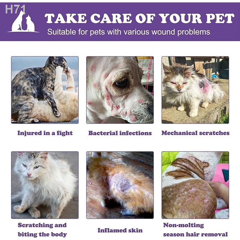 ﹍Pet Skin Treatment for dogs Pet Anti fungal Spray Dog Skin Disease